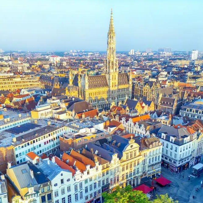 Détection bruxelles